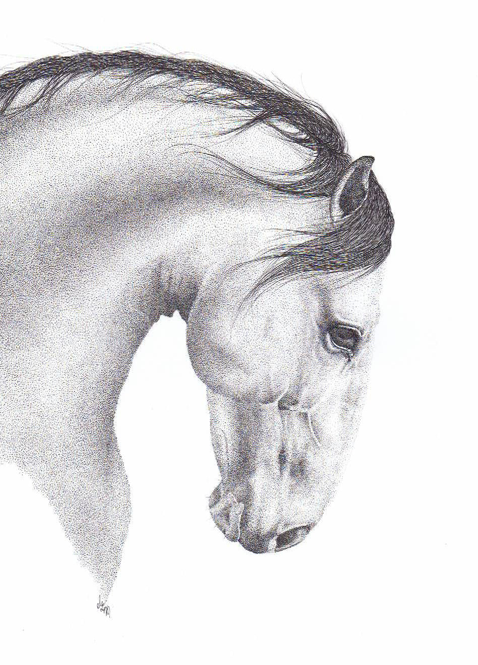 Limited Edition 'Baldur' Horse Art Print