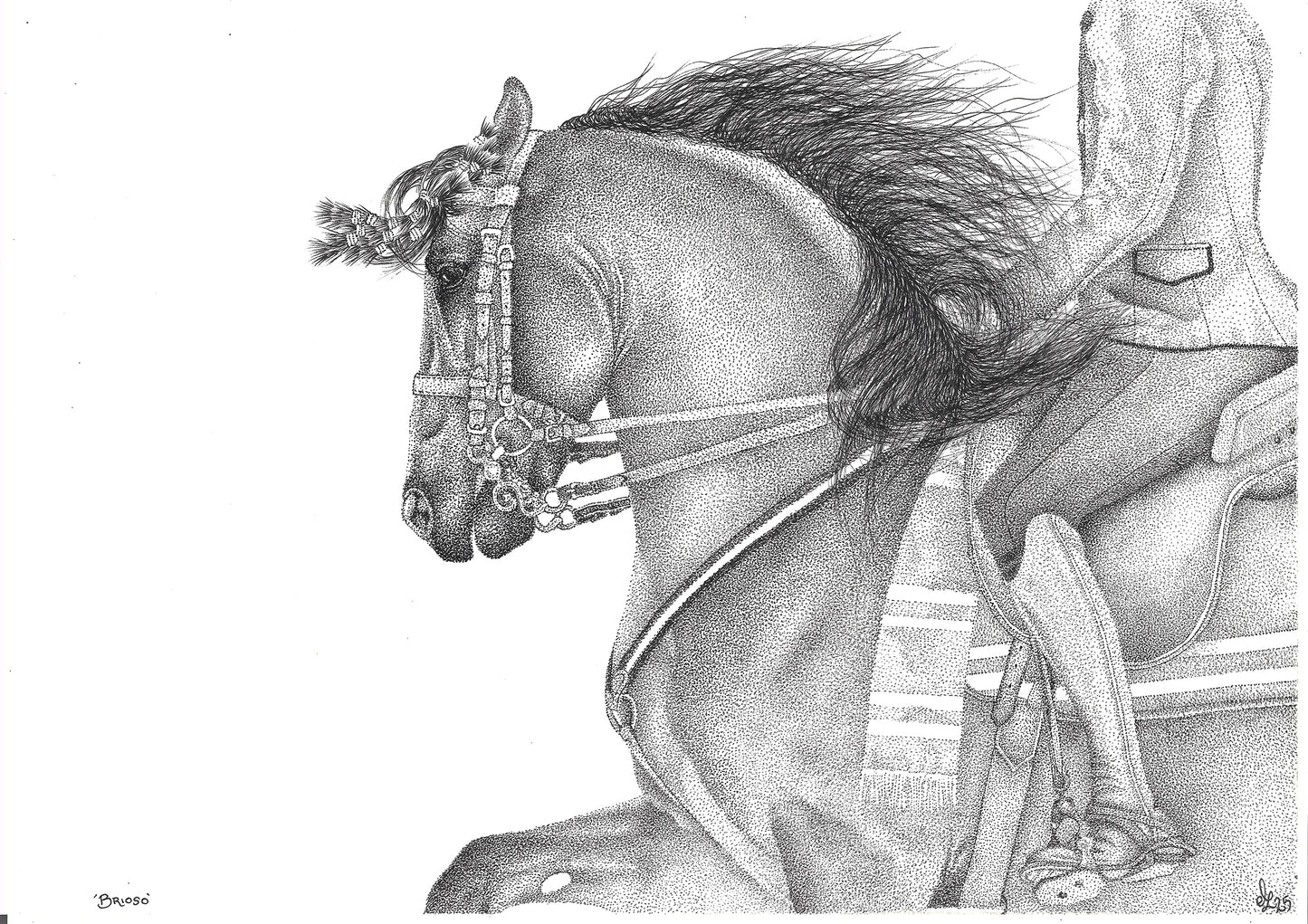 'Brioso' - Limited Edition Spanish Horse Print