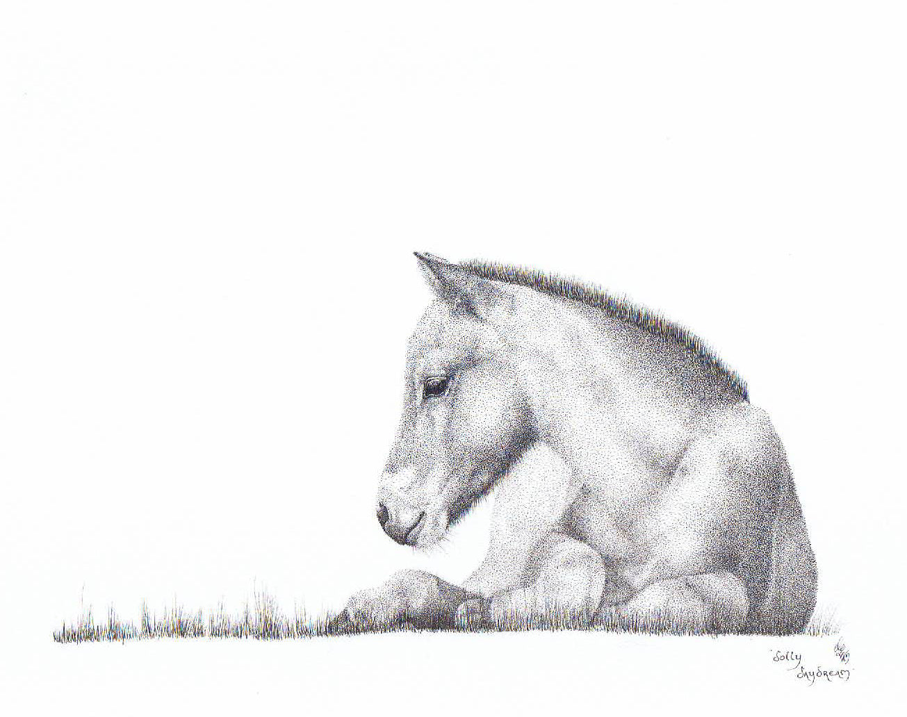 Limited Edition 'Dolly Daydream' Exmoor Foal Art Print