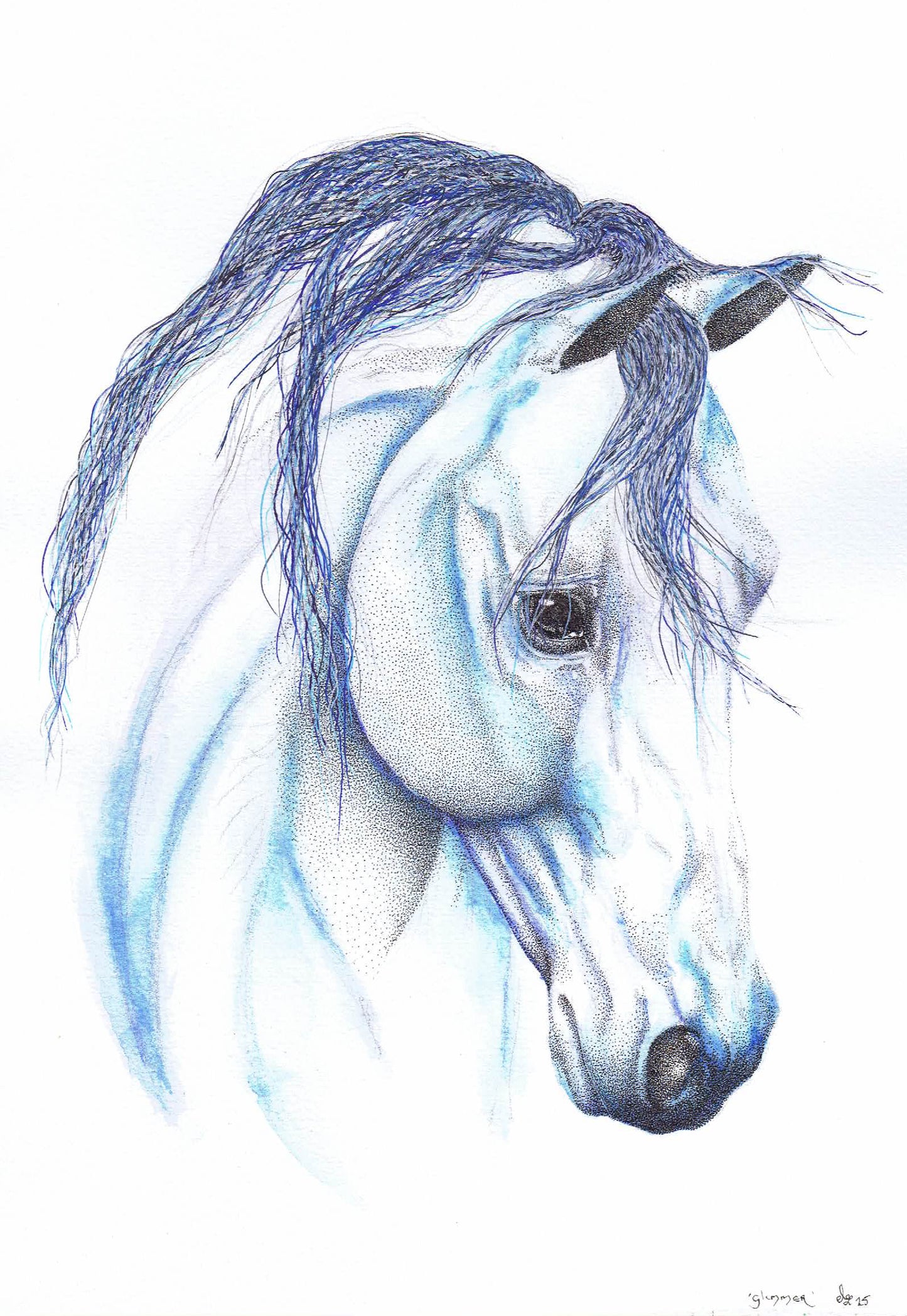 'Glimmer' - Limited Edition Arab Horse Art Print