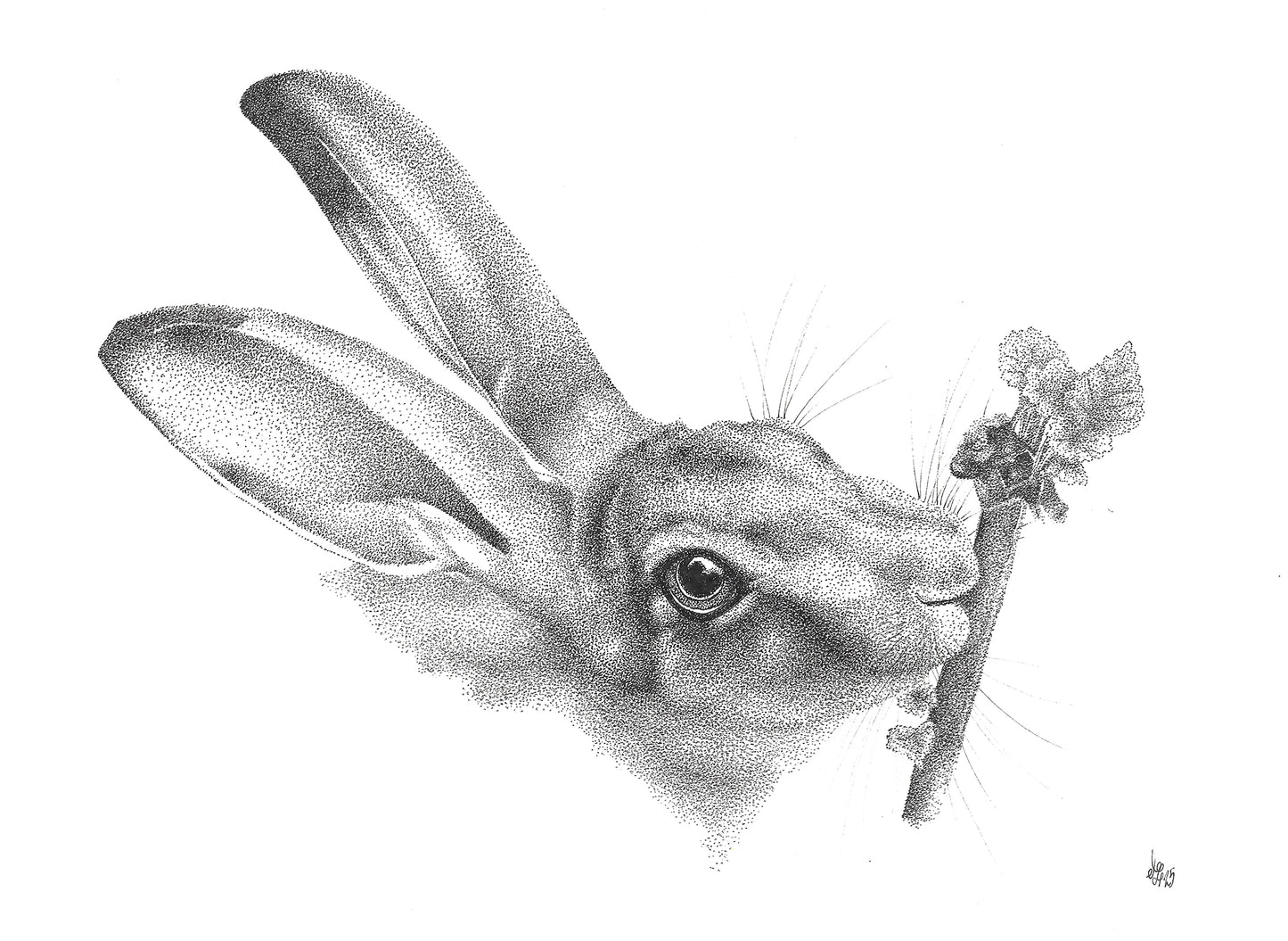'A Wee Snack' - Limited Edition Hare Art Print