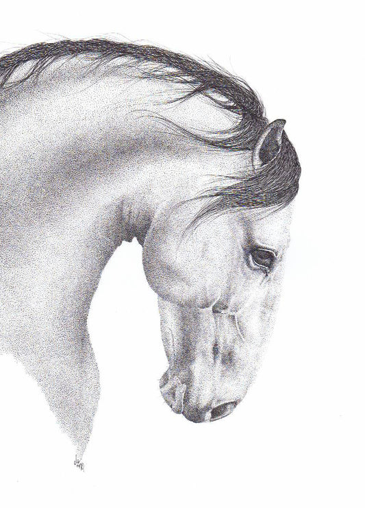 Limited Edition 'Baldur' Horse Art Print