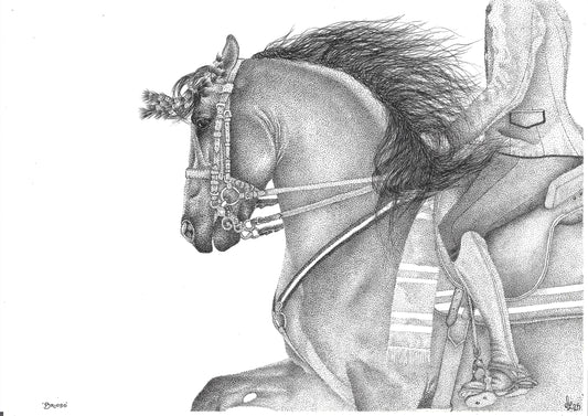 'Brioso' - Limited Edition Spanish Horse Print