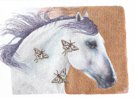 Limited Edition A4 Horse Art Print - 'Glow'