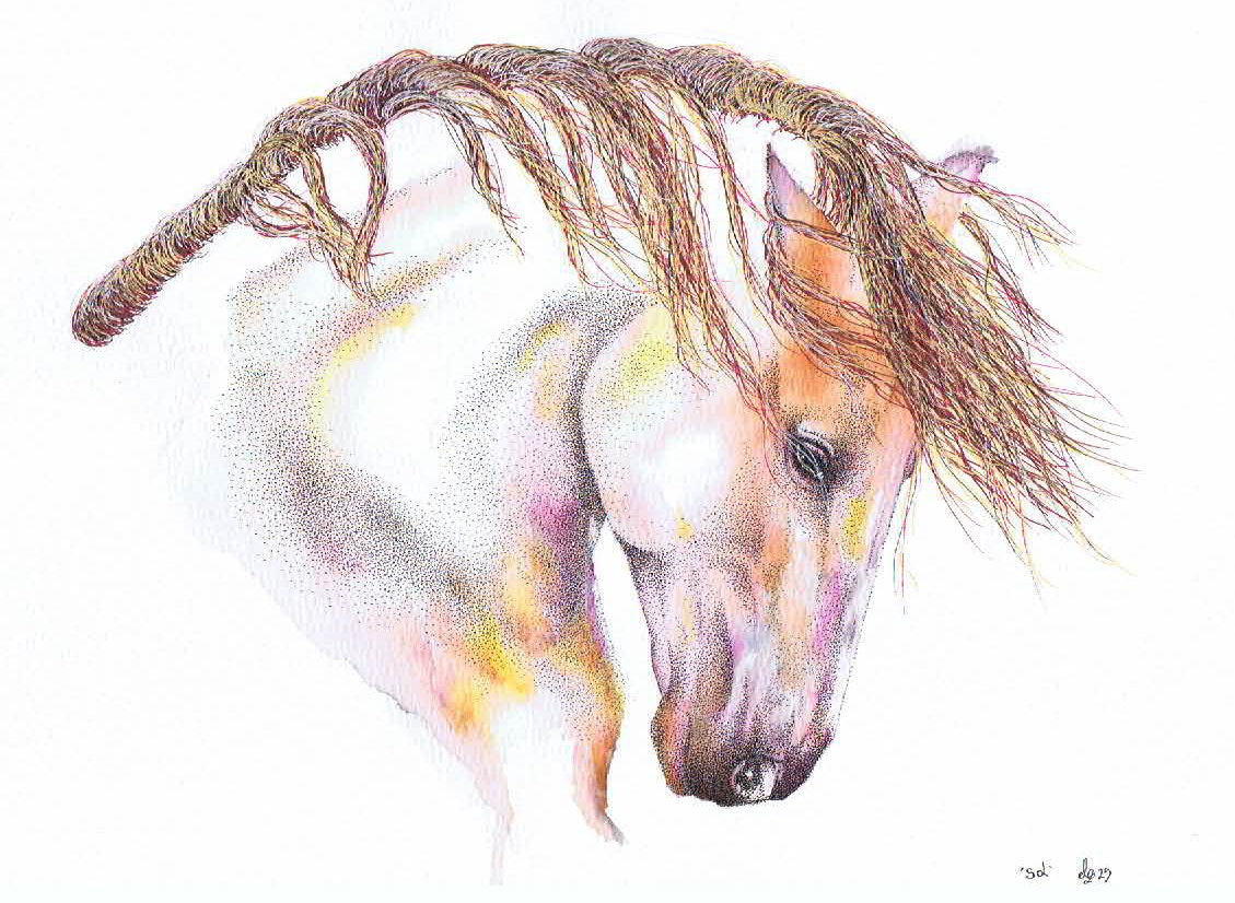'Sol' - Limited Edition A4 Horse Art Print
