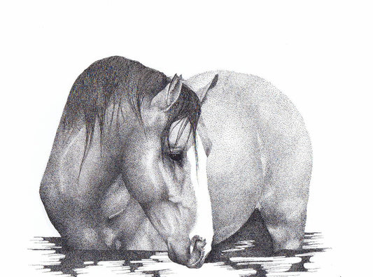 'Soul Of Salt River' - Limited Edition Horse Art Print