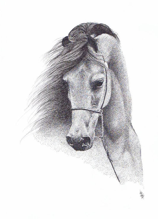 'Spiritus' - Limited Edition Arab Horse Art Print