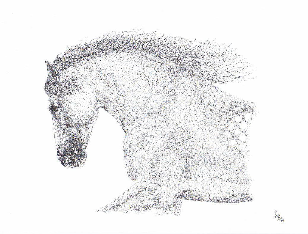 'Zephyrus II' - Limited Edition Horse Art Print